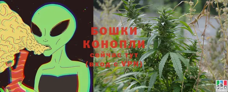 Шишки марихуана Ganja  Алатырь 